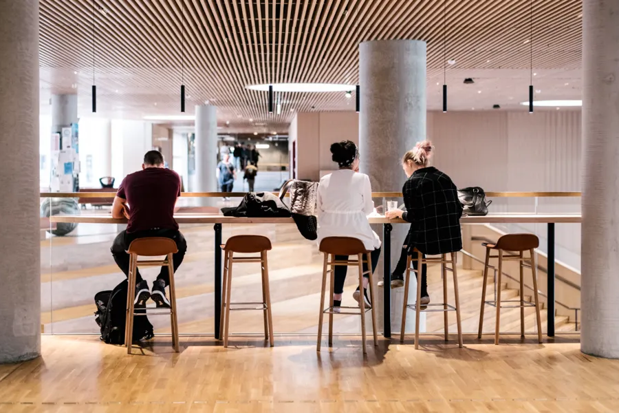 På Nørre Campus sidder en flok studerende med ryggen til i et lækkert og lyst lokale og arbejder ved højborde