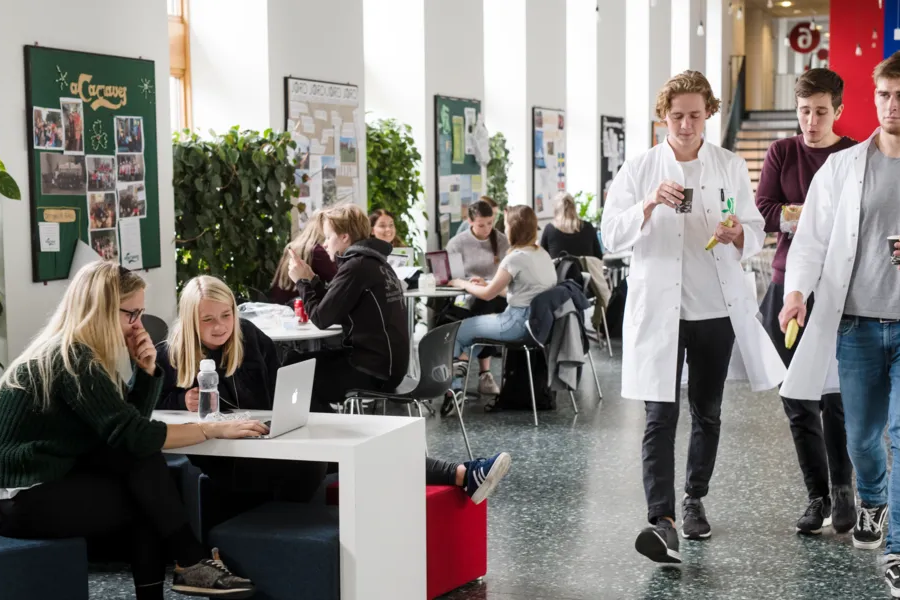 Students in white coats passing a group of students sitting at tables, having a good time