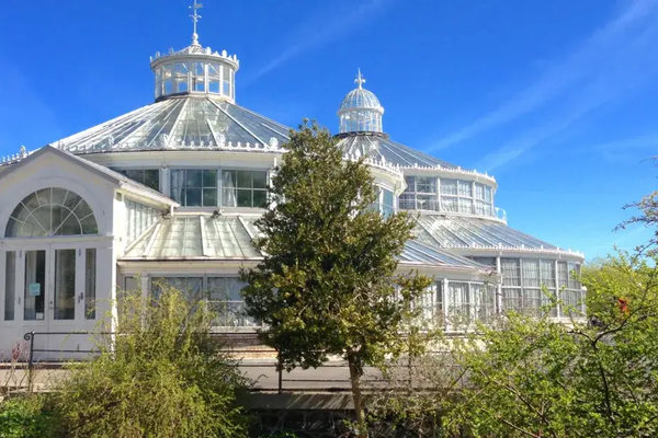 Gå på opdagelse i Botanisk Have, Palmehuset og Statens Naturhistoriske Museum, der her vises med en smuk blå himmel samt træer og buske